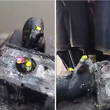 आंध्र प्रदेश के प्राचीन मंदिर में शिवलिंग तोड़े जाने का आरोप, चंद्रबाबू नायडू की कड़ी कार्रवाई की चेतावनी