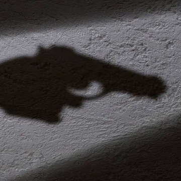 शादी का रजिस्ट्रेशन कराने पहुंचे वर-वधु के पास मिला आग्नेयास्त्र