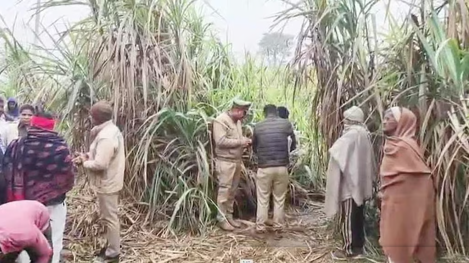 उत्तर प्रदेश में गन्ने के खेत से महिला का अर्धनग्न शव बरामद, पुलिस ने शुरू की जांच