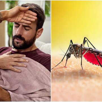 अध्ययन का खुलासा: मच्छरजनित बीमारियां इंसानियत के लिए सबसे तेजी से बढ़ता खतरा