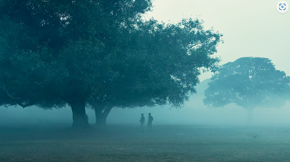 चक्रवात ‘दितवाह’ का असर: दक्षिण बंगाल में ठंड अभी दूर