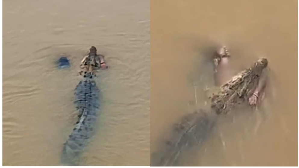सबकी आंखों के सामने महिला को खींचकर ले गया मगरमच्छ, एक दिन बाद मिला शव