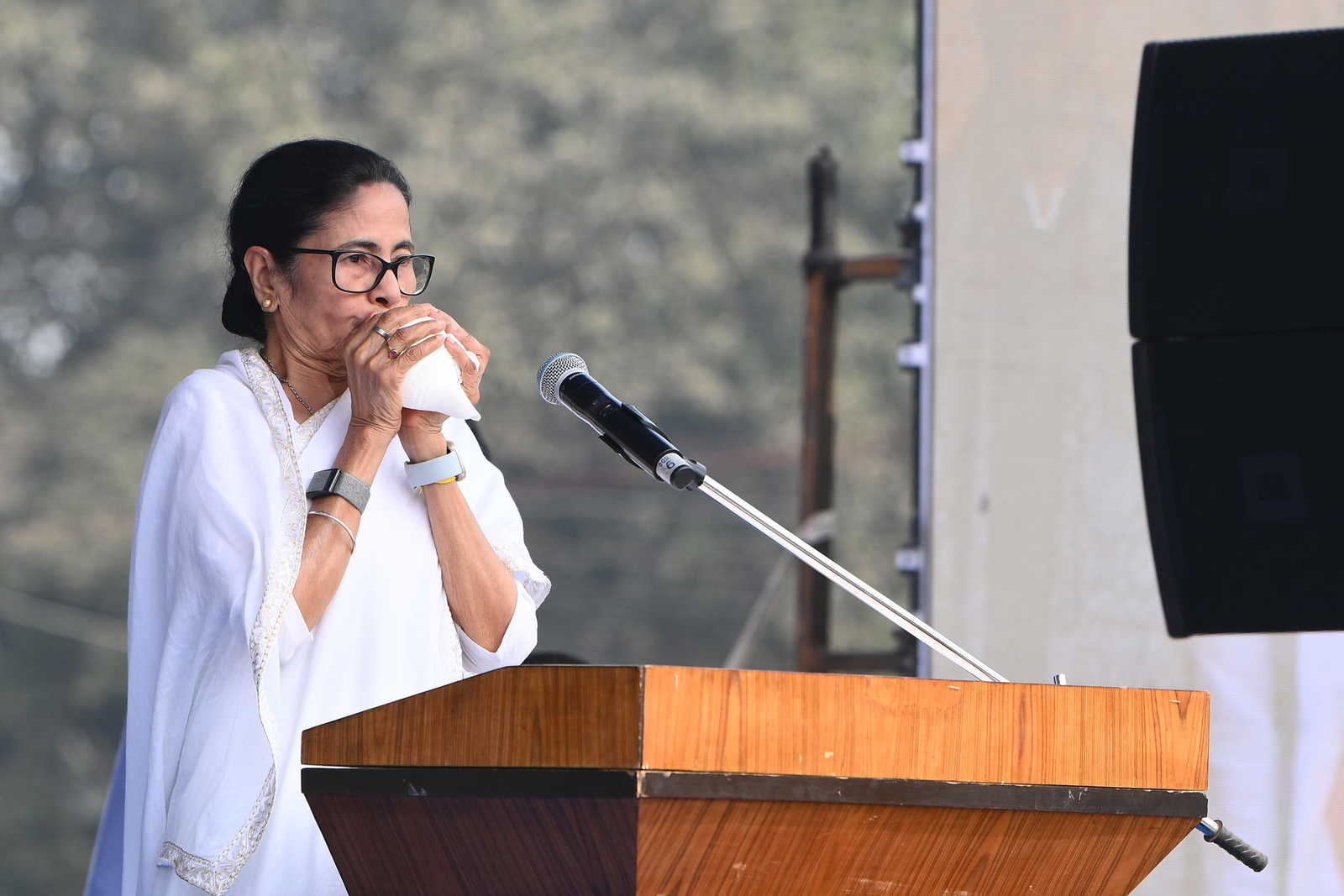 सुभाष चंद्र बोस के जन्मदिन पर ममता बनर्जी का तंज! बोलीं – अगर नेताजी जिंदा होते तो SIR की सुनवाई में बुलाया जाता