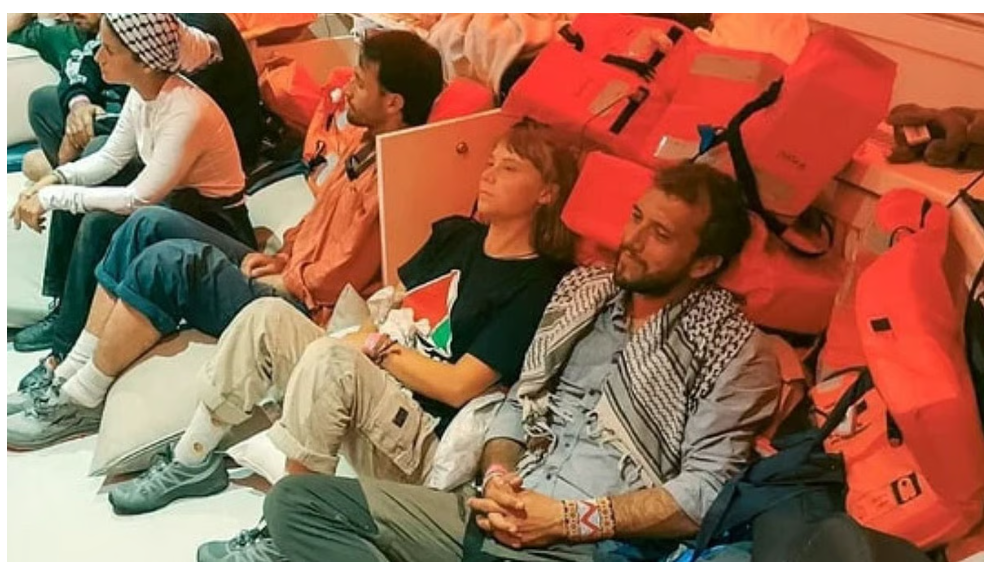 मेरे बाल खींचकर, इजरायल का झंडा शरीर पर लपेटने के लिए मजबूर किया गयाः सामाजिक कार्यकर्ता ग्रेटा थुनबर्ग