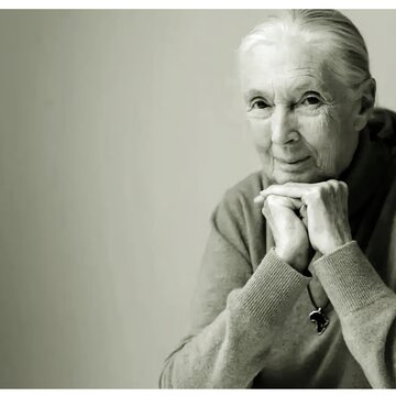 प्रसिद्ध चिंपांजी विशेषज्ञ जेन गुडॉल नहीं रहीं, उनके जीवन पर बनी हैं 40 से अधिक फिल्में