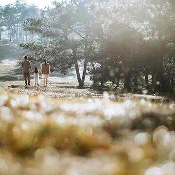 मात्र दो दिनों की छुट्टी लेकर नववर्ष को बना सकते हैं लॉन्ग वीकेंड, जानिए 2026 में कब-कब मिलेगी लंबी छु्ट्टियां!