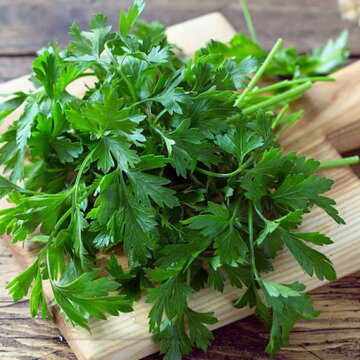 क्या सर्दियों में मिलने वाली ताजी धनिया पत्ती से बालों का झड़ना रोका जा सकता है?