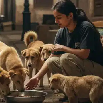 जब शहर सोता है तब हर रात बेजुबानों को खाना खिलाने निकलती है नंदिनी