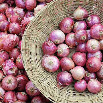 प्याज खरीद मूल्य बढ़ाने का केंद्र का फैसला, किसानों ने जताई नाराजगी