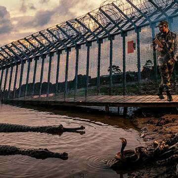 BSF का अनोखा प्रयोग, प्राकृतिक बाधा बनेंगे सरीसृप, सीमा सुरक्षा होगी मजबूत