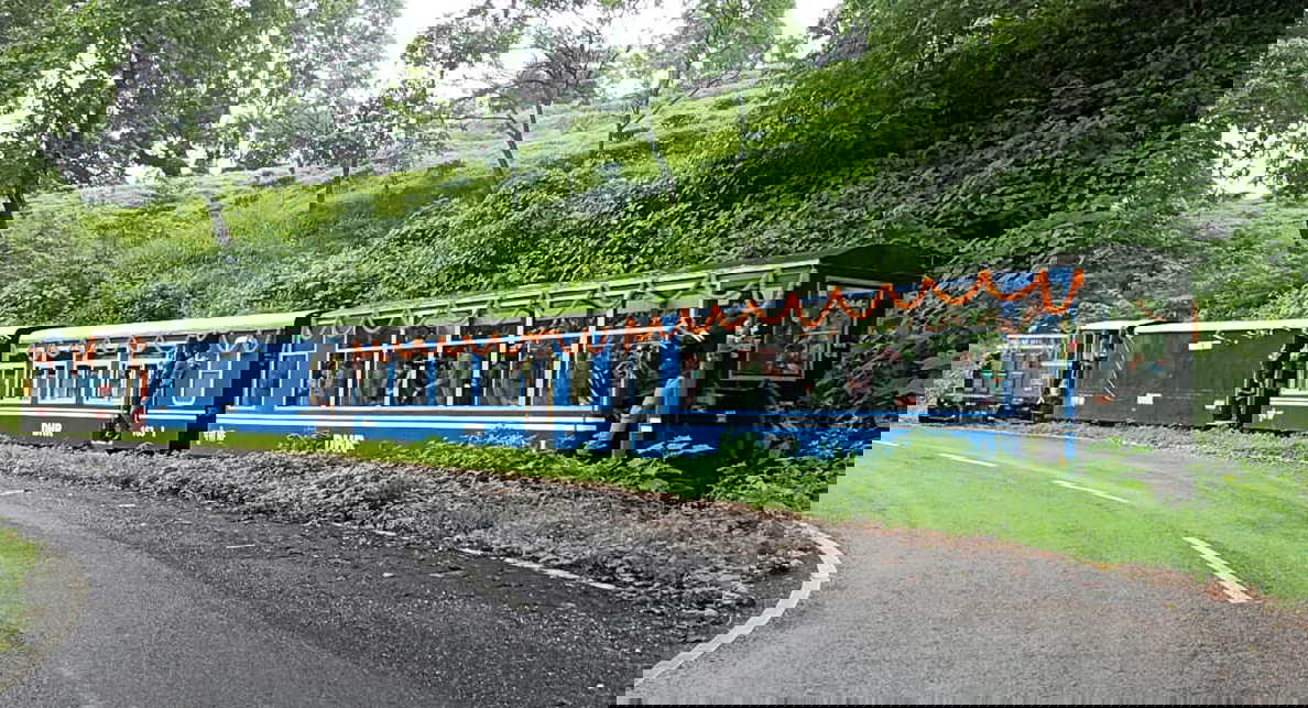 उत्तर बंगाल में DHR जंगल सफारी शुरू - टॉय ट्रेन से देखें घने जंगल के दिलकश नजारे, जानें Timing और किराया