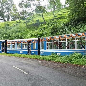 उत्तर बंगाल में DHR जंगल सफारी शुरू - टॉय ट्रेन से देखें घने जंगल के दिलकश नजारे, जानें Timing और किराया