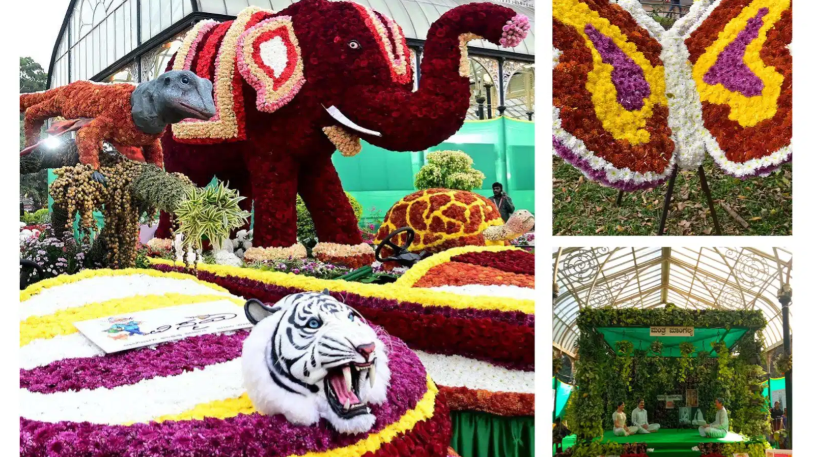 बेंगलुरु में चल रहा है लालबाग फ्लावर शो, खत्म होने से पहले जरूर घूम आएं, जानिए Timing और एंट्री शुल्क