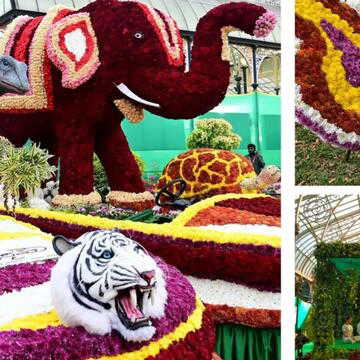 बेंगलुरु में चल रहा है लालबाग फ्लावर शो, खत्म होने से पहले जरूर घूम आएं, जानिए Timing और एंट्री शुल्क