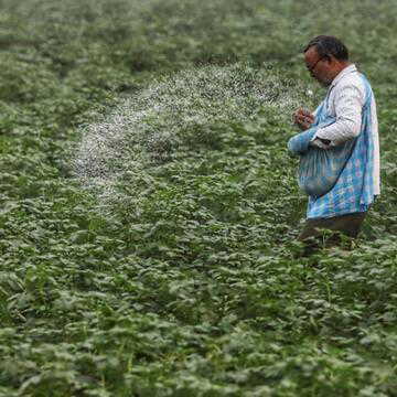 पश्चिम एशिया संकट के बीच IPL ने जारी किया यूरिया टेंडर, सरकार सुनिश्चित कर रही कृषि आपूर्ति