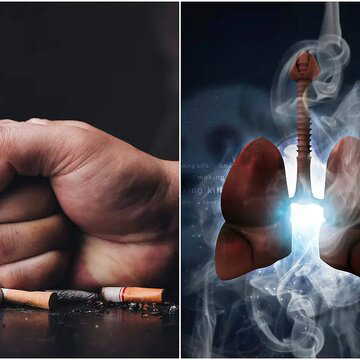 राज्यसभा में उठी मांग: तंबाकू व शराब के 'भ्रामक विज्ञापनों' पर तुरंत रोक लगे