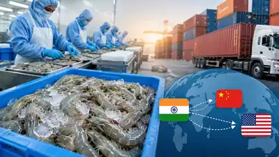 भारत के सीफूड निर्यात को नई उड़ान, फ्रोजन झींगा निर्यात रिकॉर्ड स्तर पर