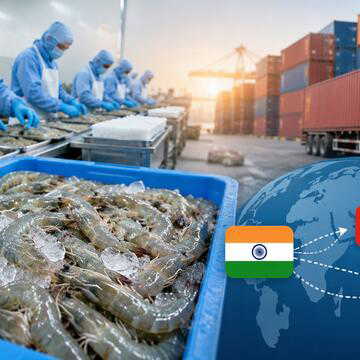 भारत के सीफूड निर्यात को नई उड़ान, फ्रोजन झींगा निर्यात रिकॉर्ड स्तर पर