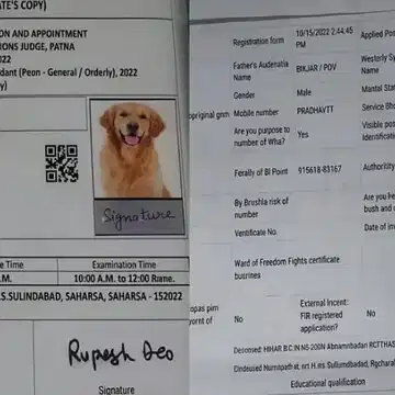 एडमिट कार्ड में कुत्ते की तस्वीर! सरकारी नौकरी की परीक्षा में लापरवाही का आरोप