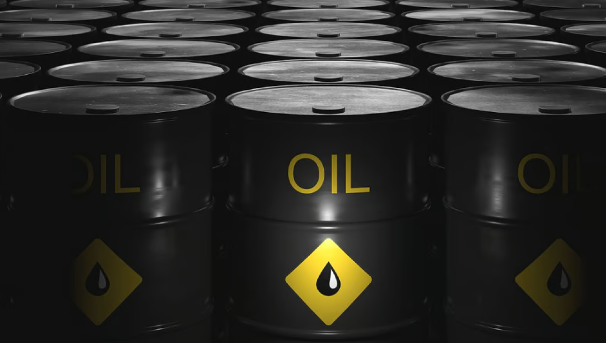 केंद्र सरकार ने ऊर्जा स्रोतों के विकेंद्रीकरण पर जोर दिया