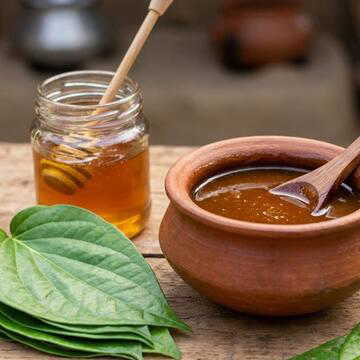 खजूर गुड़ से लेकर चनाचुर व पान तक, GI टैग बंगाल के लिए किन प्रोडक्ट्स का भेजा गया प्रस्ताव और किन्हें मिल चुका है?