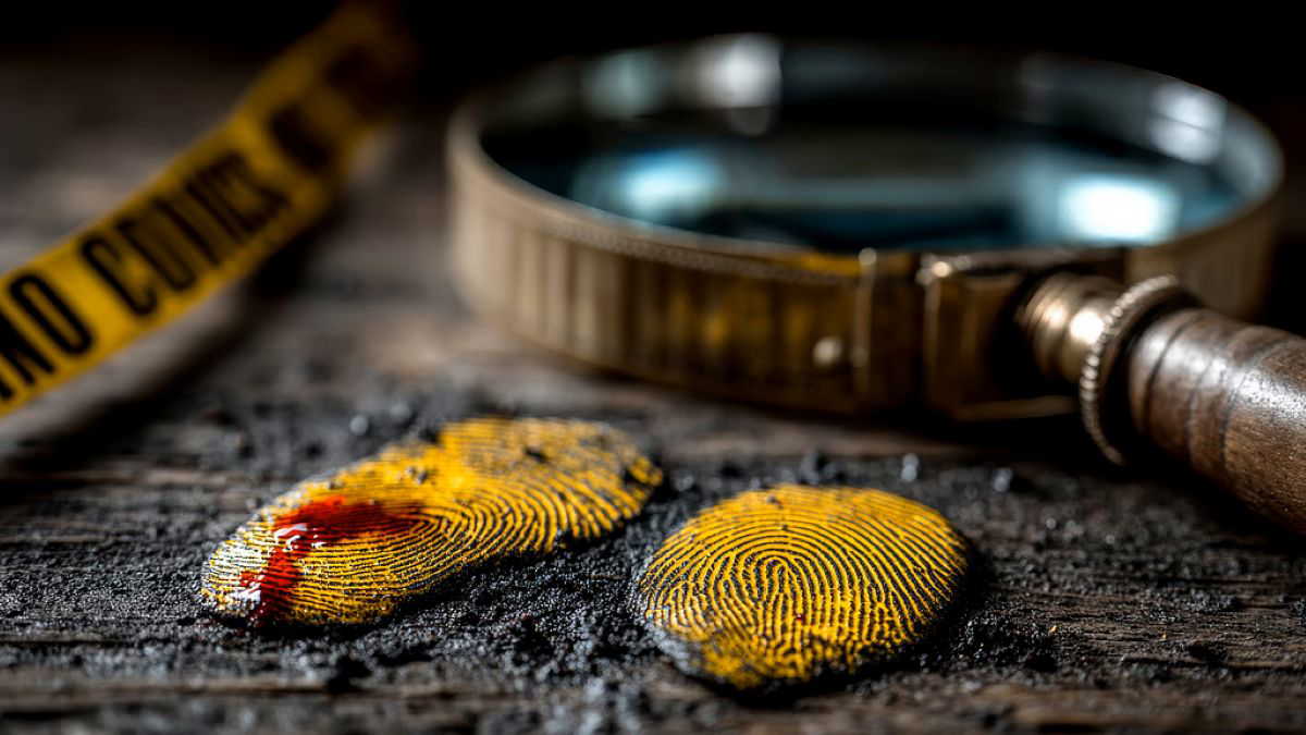 दिल्ली में डबल मर्डर का खुलासा; केयरटेकर ने ही लूट के लिए ले ली दो लोगों की जान, वारदात की प्लानिंग देख पुलिस भी हैरान