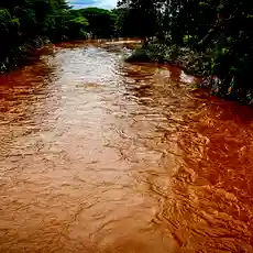 केन्या में भीषण प्राकृतिक आपदा, बाढ़ और भूस्खलन की कहर से कम से कम 66 लोगों की मौत!