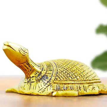 अजमेर में एक करोड़ का 'सुनहरा कछुआ' बताकर 20 लाख में डील, 12 लाख की ठगी