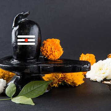 घर में शिवलिंग कहां रखें ? इसका आकार कैसा होना चाहिए ? जानें शिवलिंग रखने के वास्तु टिप्स