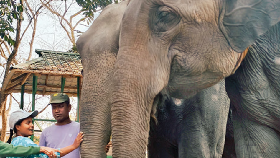 ‘दुश्मन’ से ‘दोस्त’ तक: डुआर्स में हाथियों को छूकर बदली दिव्यांग बच्चों की सोच