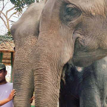 ‘दुश्मन’ से ‘दोस्त’ तक: डुआर्स में हाथियों को छूकर बदली दिव्यांग बच्चों की सोच