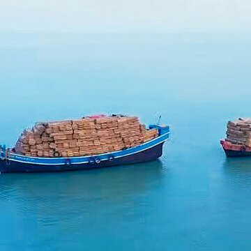 होगला पत्तों से तैयार हो रहे हैं गंगासागर तीर्थयात्रियों के आशियानें, मेदिनीपुर से तीर्थस्थल पर पहुंच रहे हैं पत्तों के खेप