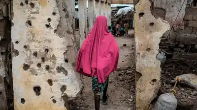 नाइजीरिया में सोते हुए ग्रामीणों पर आतंकियों ने अंधाधुंध बरसायी गोलियां, 29 की गयी जान