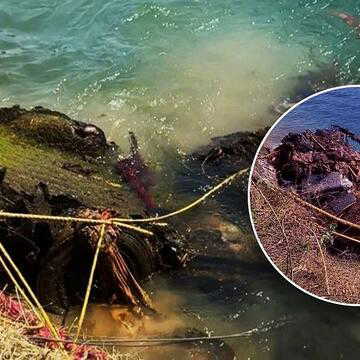 पंजाब में 26 साल पुराने रहस्य का खुलासा, भाखड़ा नहर से मिला लापता परिवार का वाहन और कंकाल
