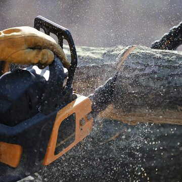 सड़क विस्तार के लिए मध्य प्रदेश में कटेंगे 8,000 पेड़, पर्यावरण प्रेमी चिंतित