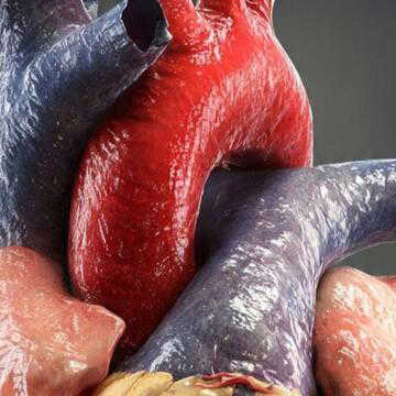 ‘इकोपल्स’ तकनीक से दिल की जांच आसान, डॉक्टरों को मिलेगा नया डिजिटल सहारा