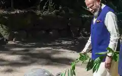 सेशेल्स के दौरे पर दुनिया के सबसे बुजुर्ग जीव जोनाथन से मिले प्रधानमंत्री मोदी, कौन है यह?