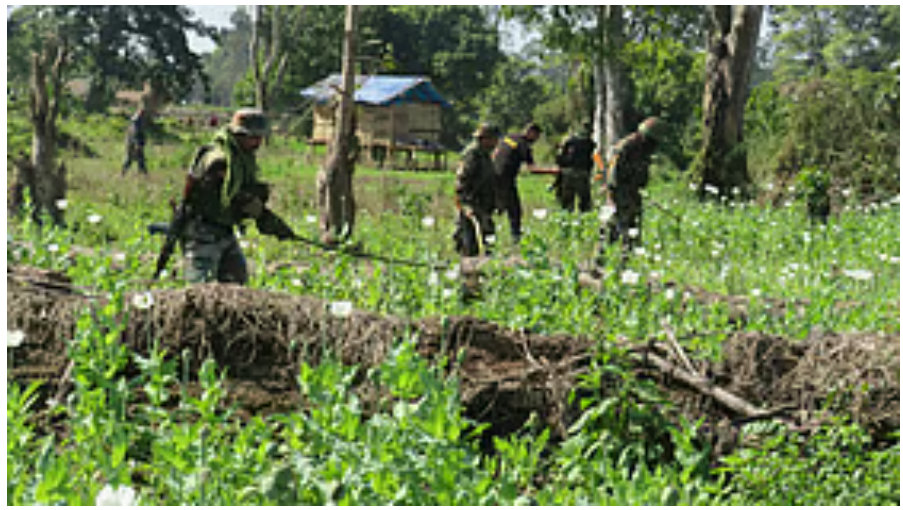 अरुणाचल में भारतीय सेना के 'ऑपरेशन नामसाई' में एक अल्फा आतंकी मारा गया