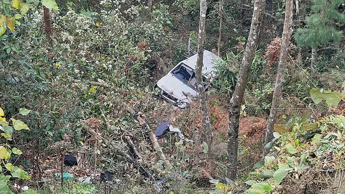 मिरिक के पास भीषण हादसा, ब्रेक फेल होने से गाड़ी खाई में गिरी, 3 की मौत