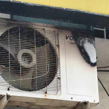 उत्तरपाड़ा के एक निजी स्कूल में लगी आग, आग बुझाने का इंतजाम नहीं