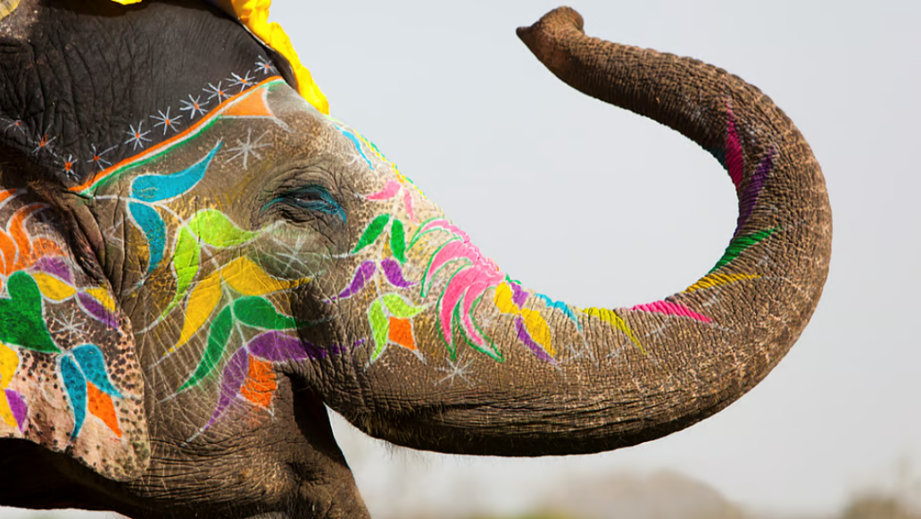 देरी और लापरवाही का खामियाजा, बिहार में सर्कस हाथी की मौत