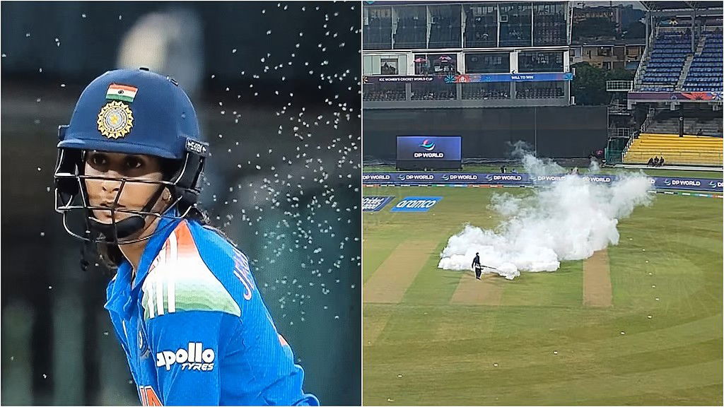 मक्खियों के आतंक से भारत-पाकिस्तान मैच रोकना पड़ा