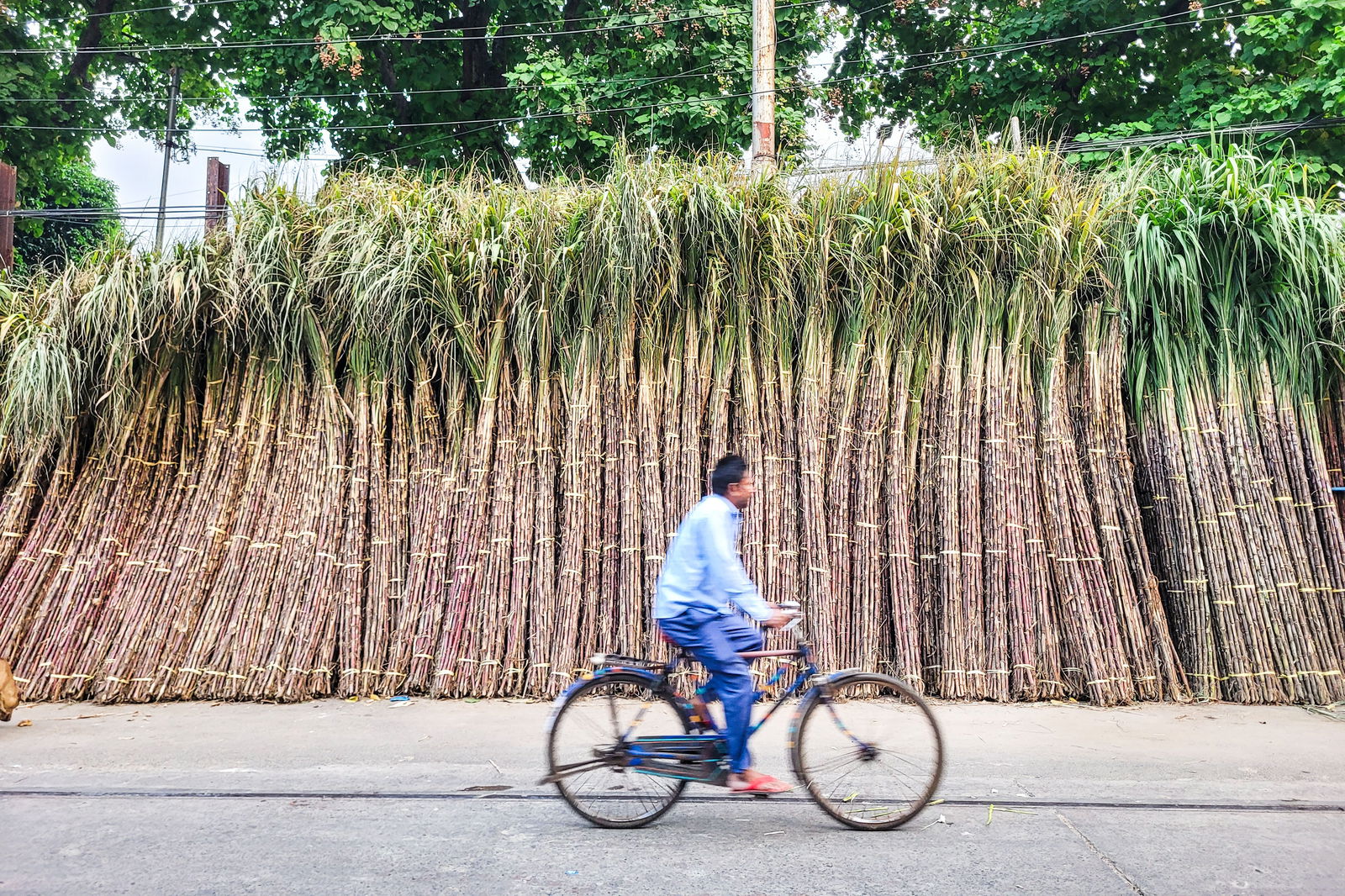 गन्ना किसानों को बड़ी सौगात: योगी सरकार ने बढ़ाए गन्ने के दाम, 8 साल में रिकॉर्ड भुगतान से उद्योग में नई जान
