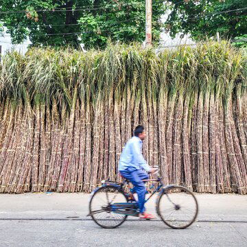 गन्ना किसानों को बड़ी सौगात: योगी सरकार ने बढ़ाए गन्ने के दाम, 8 साल में रिकॉर्ड भुगतान से उद्योग में नई जान