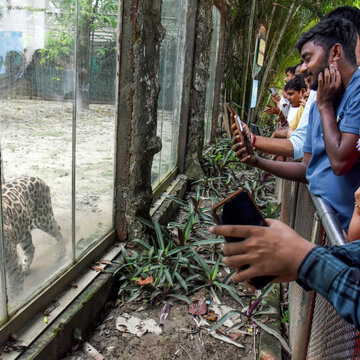 भीड़ के मामले में इको पार्क ने चिड़ियाघर को पीछे छोड़ा, कहां कितने लोग घूमने आएं?