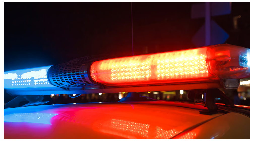 'क्या आप ठीक हैं?' पूछते ही गोली, अमेरिका में भारतीय मूल के मोटल मालिक की हत्या