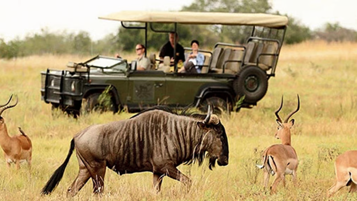 ‘चाँदेर पहाड़’ की धरती से पुकार: अनजाने वेल्ड में पर्यटन बढ़ाने की कोशिश, अनदेखे दक्षिण अफ्रीका को भारत के सामने लाने की तैयारी